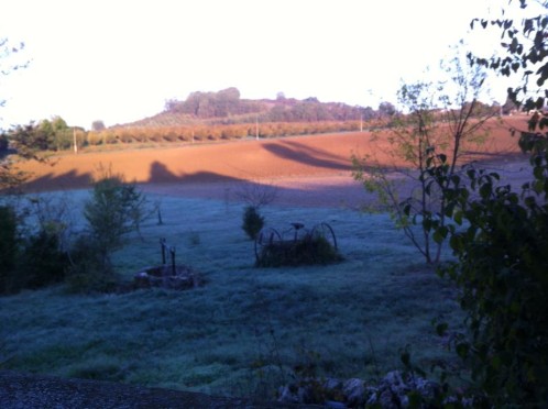 29-10-12 PREMIERES GELEES