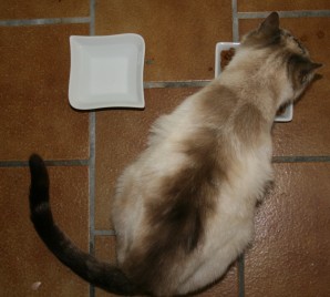 repas a ne pas manquer