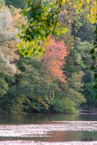 Premieres couleurs d automne-reduit