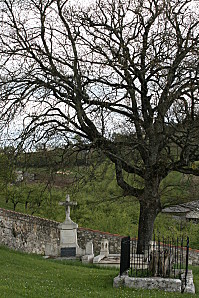 Puycalvary-Dausse 3149