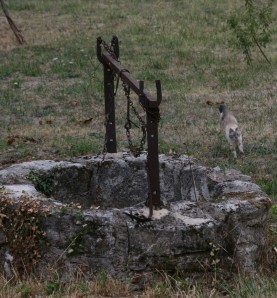 au-fil-de-l-eau 7460 LE PUITS