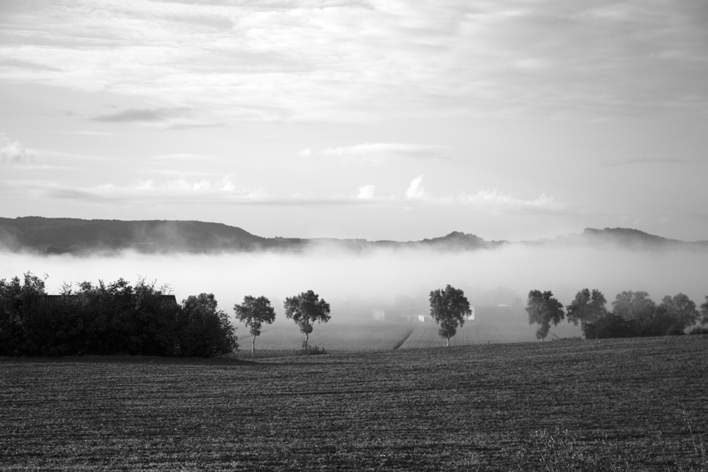 Brumes sur le Lot - Automne 2015