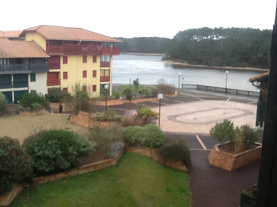 Au bord du lac marin de Port d'Albret, là où je me cache...