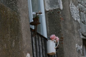 le moulinet et les roses au balcon