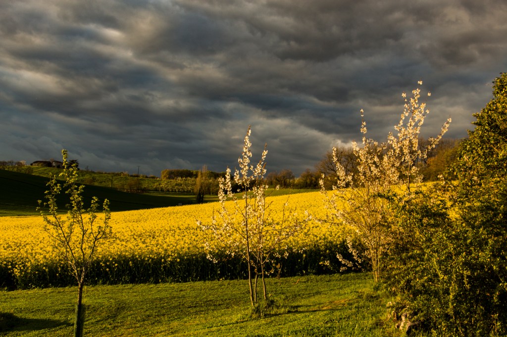CIEL DORAGE ET SOLEIL