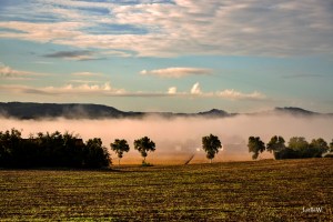 Brumes sur le Lot 2-reduit