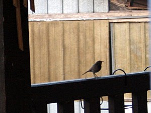 VISITE DES LIEUX FUTUR LOCATAIRE 2