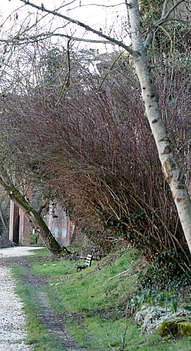 BORD DU LOT A VILLENEUVE 2