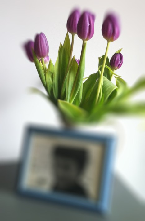 LES TULIPES POUR LUI