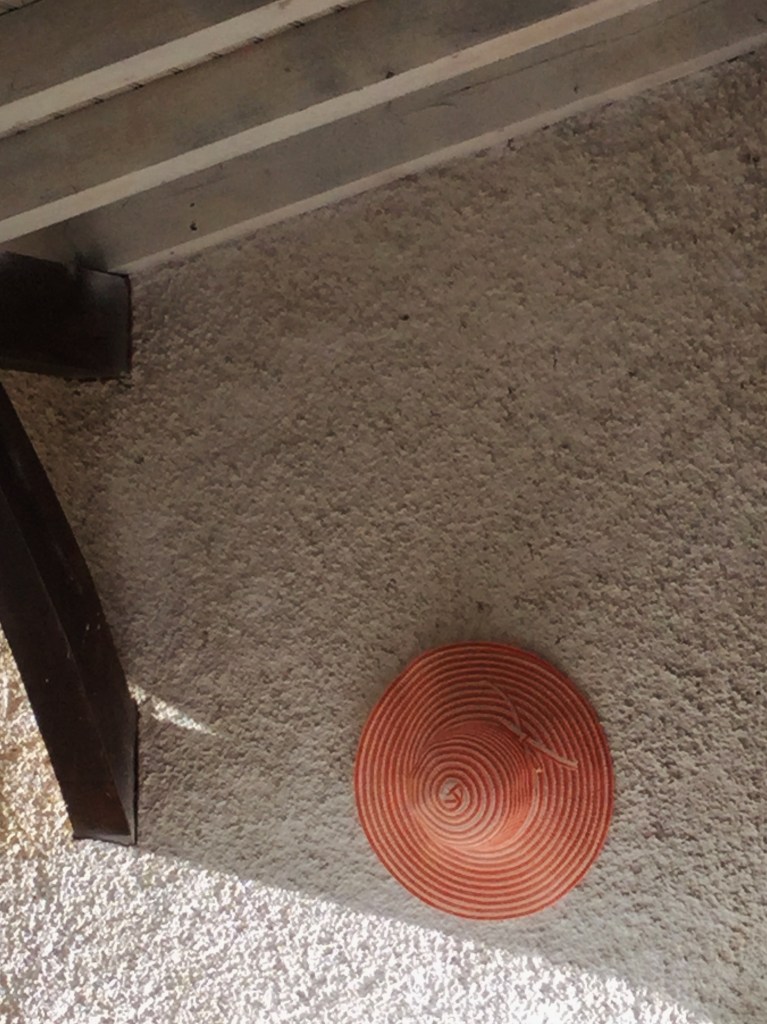 Chapeau de soleil à l'ombre - Automne 2016