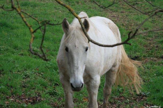 Hasard ? vous avez dit hasard&nbsp;?…