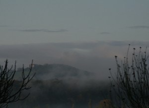 Puycalvary-Dausse 3118