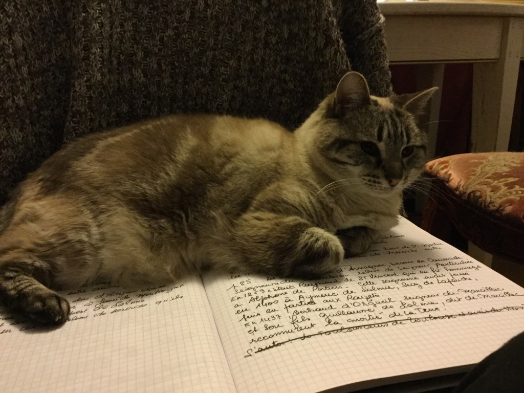 L’attachement au lieu…